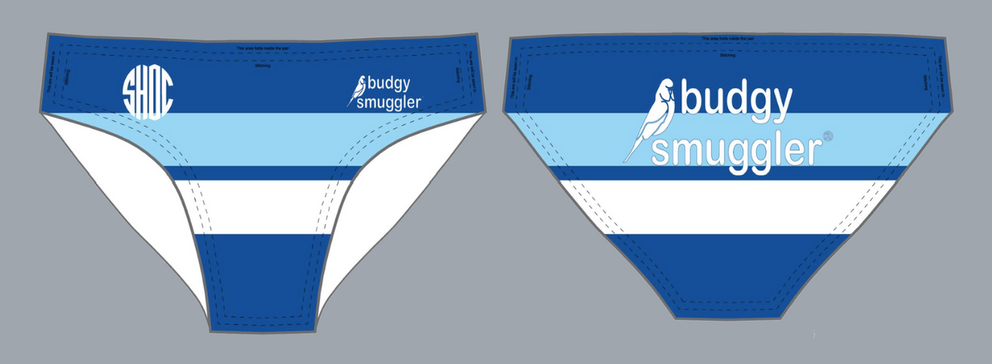 Budgy Smuggler Royal Blue